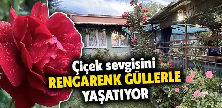 Çiçek sevgisini 18 yıldır büyüttüğü renk cümbüşü güllerle yaşatıyor.