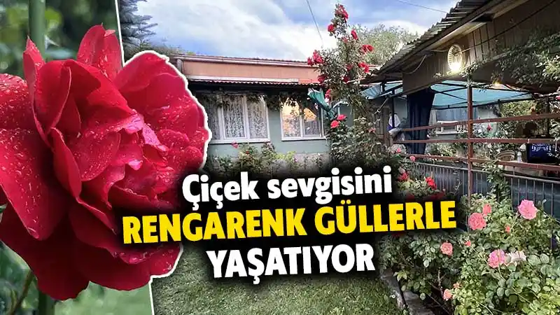 Çiçek sevgisini 18 yıldır yetiştirdiği rengarenk güllerle yaşatıyor