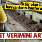 Devlet Desteğiyle Konforlu Besihane Kuruldu