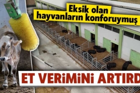 Devlet Desteğiyle Konforlu Besihane Kuruldu