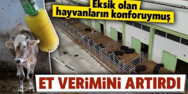 Devlet Desteğiyle Konforlu Besihane Kuruldu