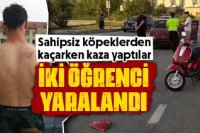 Kütahya'da kampüste köpekler kazaya sebep oldu