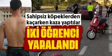 Kütahya'da kampüste köpekler kazaya sebep oldu