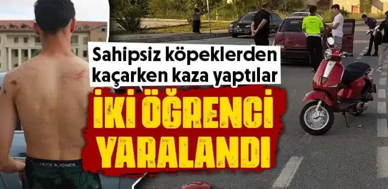 Kütahya’da kampüste köpekler kazaya sebep oldu