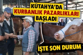 kutahya-da-kurbanlik-pazarliklari-basladi