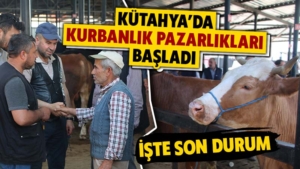 kutahya-da-kurbanlik-pazarliklari-basladi