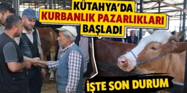 kutahya-da-kurbanlik-pazarliklari-basladi
