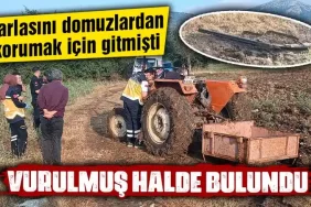 Kütahya’da bir kişi tarlasında ölü bulundu