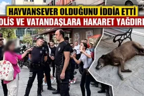 Kütahya'da hayvansever olduğunu iddia etti, hakaret yağdırdı
