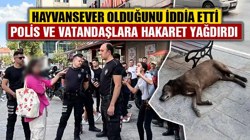 Kütahya'da hayvansever olduğunu iddia etti, hakaret yağdırdı