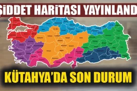 Türkiye’nin şiddet haritası yayınlandı! Kütahya’da neler oldu?