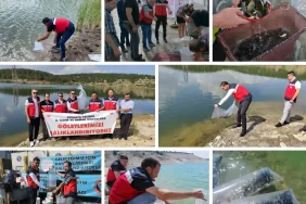Kütahya’da 1 milyon balık suya bırakıldı