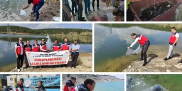 Kütahya’da 1 milyon balık suya bırakıldı