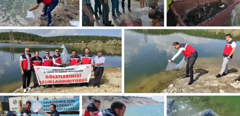 Kütahya’da 1 milyon balık suya bırakıldı