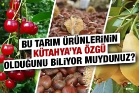 Kütahya’ya özgü tarım ürünleri