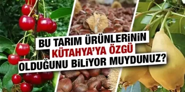 Kütahya’ya özgü tarım ürünleri