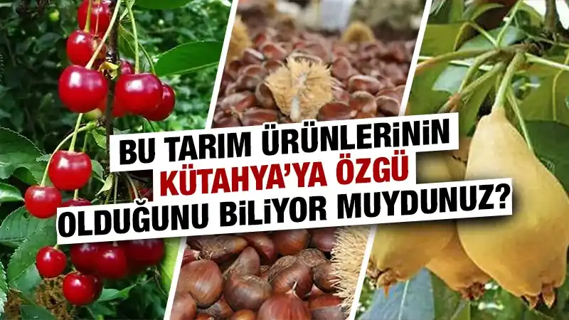 Kütahya’ya özgü tarım ürünleri