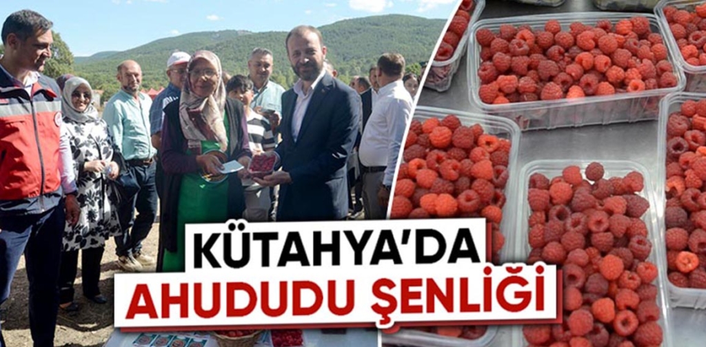 Kütahya'da ahududu şenliği