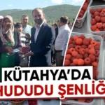 Kütahya'da ahududu şenliği