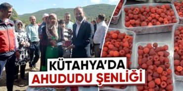 Kütahya'da ahududu şenliği