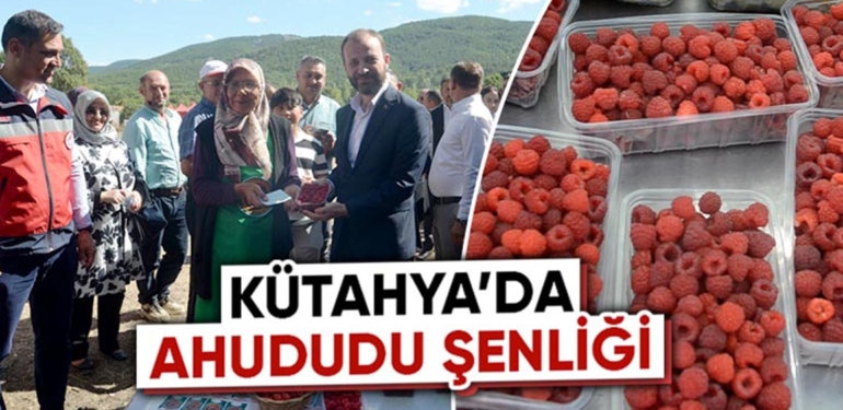 Kütahya’da ahududu şenliği
