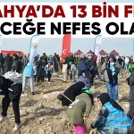 Kütahya’da 13 bin 600 fidan toprağa kavuştu