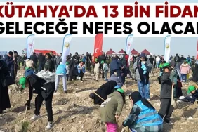 Kütahya’da 13 bin 600 fidan toprağa kavuştu