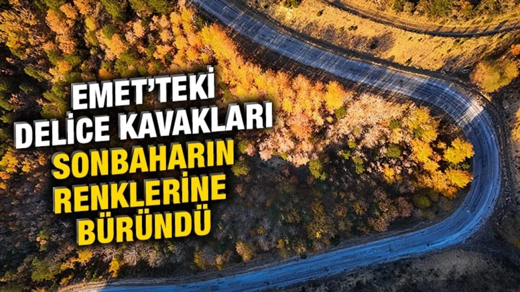 Kütahya Emet'te delice kavakları sonbahar renkleriyle büyülüyor