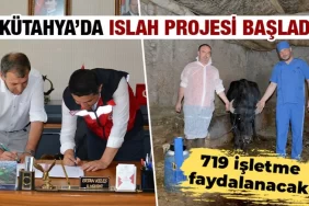 Kütahya’da manda ıslahı projesi başladı