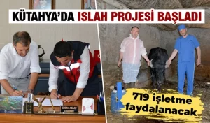 Kütahya’da manda ıslahı projesi başladı