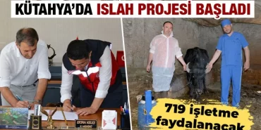 Kütahya’da manda ıslahı projesi başladı