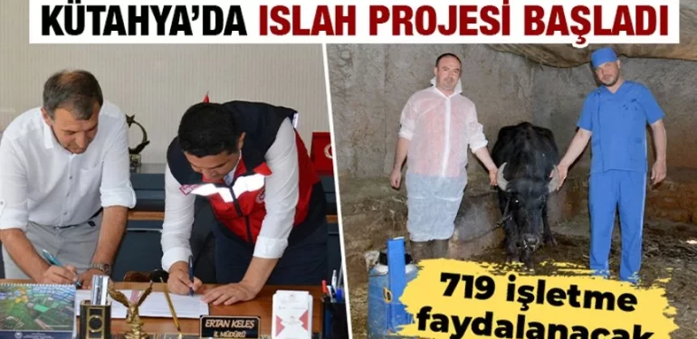 Kütahya’da manda ıslahı projesi başladı