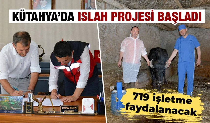 Kütahya’da manda ıslahı projesi başladı