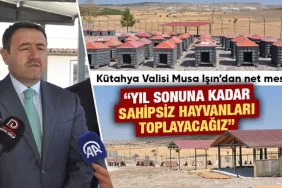 Kütahya’da sahipsiz hayvanlar için doğal yaşam alanı tamamlandı