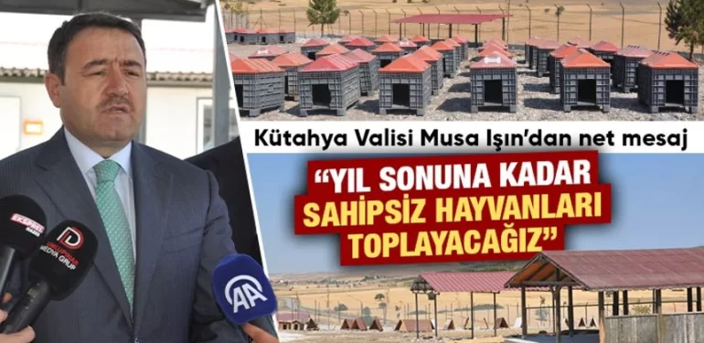 Kütahya’da sahipsiz hayvanlar için doğal yaşam alanı tamamlandı