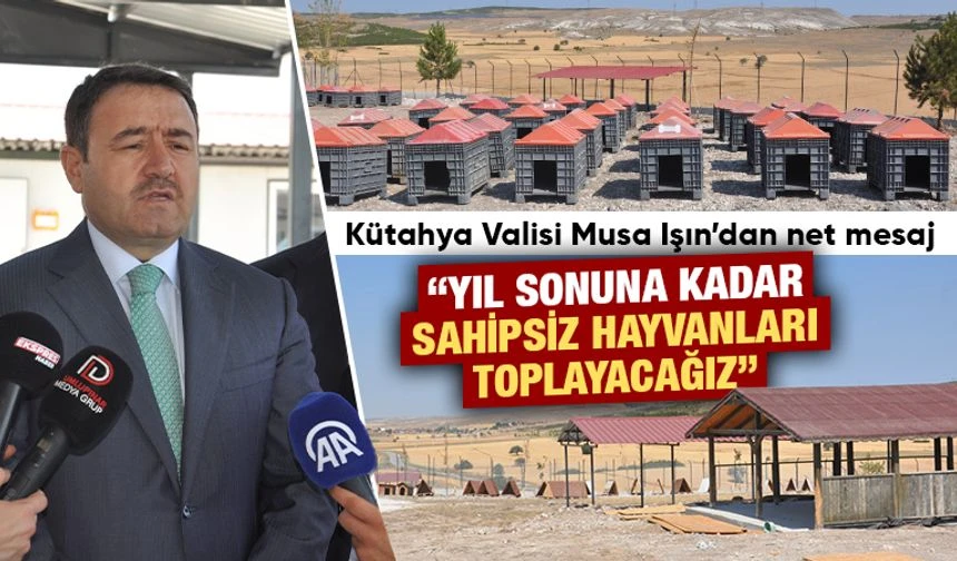 Kütahya’da sahipsiz hayvanlar için doğal yaşam alanı tamamlandı