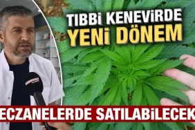 Tıbbi kenevir eczanelerde satılabilecek, Kütahya’da uzmanı açıkladı
