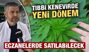 Tıbbi kenevir eczanelerde satılabilecek, Kütahya’da uzmanı açıkladı