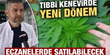 Tıbbi kenevir eczanelerde satılabilecek, Kütahya’da uzmanı açıkladı