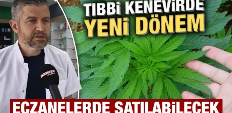 Tıbbi kenevir eczanelerde satılabilecek, Kütahya’da uzmanı açıkladı