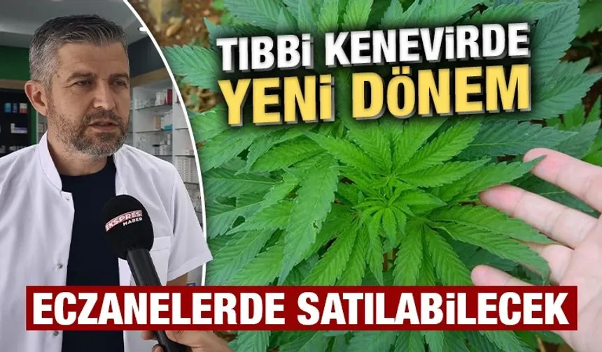 Tıbbi kenevir eczanelerde satılabilecek, Kütahya’da uzmanı açıkladı